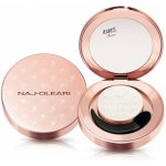 Naj-Oleari Colour Fair Eyeshadow intenzivní oční stíny 01 pearly snow 2 g – Zboží Dáma