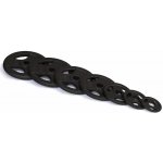 TRINFIT olympijský litina 1,25 kg / 50 mm – Hledejceny.cz