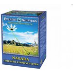 Everest Ayurveda NAGARA himalájský bylinný čaj k regeneraci lymfatického systému mízních uzlin a cév 100 g – Hledejceny.cz