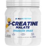 AllNutrition 3 Creatine Malate 500 g – Hledejceny.cz