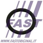 FAST FT50601 – Hledejceny.cz
