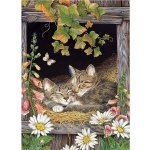 Cobble Hill Sisters 500 dílků – Sleviste.cz