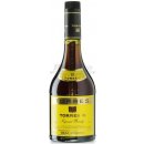 Torres Gran Reserva 10y 38% 0,7 l (holá láhev)