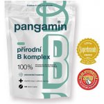 Pangamin přírodní B komplex tablet 120 – Hledejceny.cz