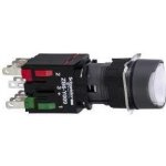 Schneider Electric XB6AW1B5B – Hledejceny.cz