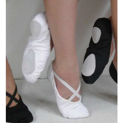 WINS Piškoty baletní SOTES bílá – Hledejceny.cz