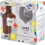 June Gin Peach 37,5% 0,7 l (dárkové balení 1 sklenička) – Zboží Dáma