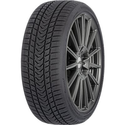Gripmax Pro Winter 265/35 R20 99V – Hledejceny.cz