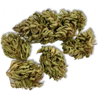Santa Maria CBDV Forest Haze CBDV 5% CBD 8 % THC 0,25 % 1 g – Sleviste.cz