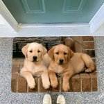 Zolux Podložka pro psy pod misku pejsci L – Zboží Mobilmania