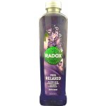 Radox Feel Relaxed Lavender & Waterlily pěna do koupele 500 ml – Hledejceny.cz