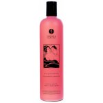 Sprchový gel Shunga Exotic Fruits 500 ml – Zboží Dáma