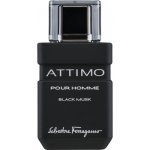 Salvatore Ferragamo Attimo Black Musk toaletní voda pánská 100 ml – Hledejceny.cz