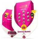 Royal Queen Seeds Special Queen #1 semena neobsahují THC 3 ks