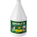 TRM Superlyte 2:2:1 syrup 10 l – Hledejceny.cz
