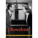 Okouzlená DVD