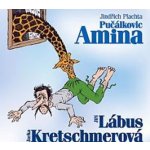 Pučálkovic Amina - Jindřich Plachta – Zboží Dáma