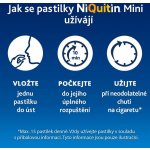 NIQUITIN MINI ORM 4MG PAS CMP 3X20 – Zboží Dáma