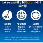 NIQUITIN MINI ORM 4MG PAS CMP 3X20 – Hledejceny.cz