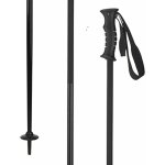 Elan SPEEDROD 2018/19 – Sleviste.cz