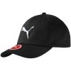 Kšíltovka Puma Essential Cap Big Cat 052919 01