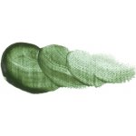 Vernet Holbein Olejové barvy 20 ml / 031 Terre Verte – Hledejceny.cz