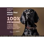 JK ANIMALS sušené vepřové ucho 25 x 40 g – Zboží Dáma