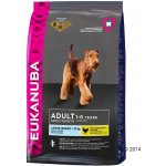 Eukanuba Adult Large Breed 2 x 15 kg – Hledejceny.cz