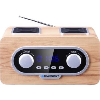 Blaupunkt PP5 2CR