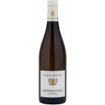 Weingut Salwey RS Oberrotweil Chardonnay suché bílé 2019 13% 0,75 l (holá láhev) – Hledejceny.cz