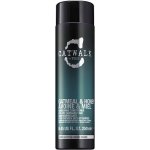 Tigi Catwalk Nourishing Conditioner pro suché a zničené vlasy Oatmeal & Honey 250 ml – Zbozi.Blesk.cz