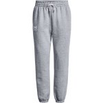 Under Armour Essential Fleece Joggers-GRY 1373034-011 – Zboží Dáma