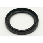 Gufero 75x110x13 G