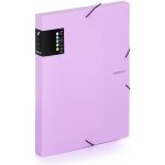 KARTON PP Krabice PP s gumou A4 fialová – Sleviste.cz