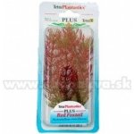 Tetra Myriophyllum heterophyllum - Red Foxtail 15 cm – Hledejceny.cz