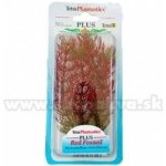 Tetra Myriophyllum heterophyllum - Red Foxtail 15 cm – Sleviste.cz