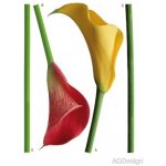 AG Design F 0447 Samolepka na zeď barevné květy rozměry 65 x 85 cm – Zboží Dáma