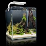 Aquael Shrimp Smart akvarijní set bílý 25 x 25 x 30 cm, 20 l – Zboží Mobilmania