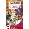 Elektronická kniha Čaroprávnost - Terry Pratchett