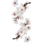 Crearreda Samolepicí dekorace WA S Photographic Blossom 59389 Kvetoucí větev 2 archy 15x31 cm – Zboží Dáma