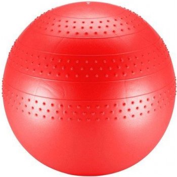 SEDCO SPECIAL Gymball 55 cm