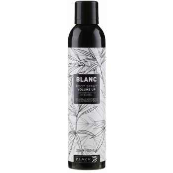 Black Blanc Volume Up Root Spray 300 ml