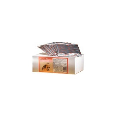 Panda Plus Master Muscle pro koně 0,6 kg – Hledejceny.cz