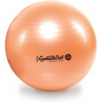 Ledragomma Gymnastik Ball Maxafe 65cm – Zboží Mobilmania