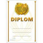 DN01c Diplom nohejbal – Sleviste.cz