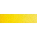 Old Holland akvarelová barva 1/2 013 Cadmium Yellow Medium – Hledejceny.cz