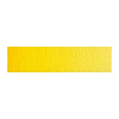 Old Holland akvarelová barva 1/2 013 Cadmium Yellow Medium – Hledejceny.cz