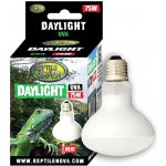 Reptile Nova Daylight 75 W – Zboží Dáma