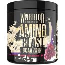 Warrior Amino Blast 270 g