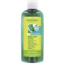 Logona Daily Care tělové mléko Bio Aloe & Verbena 200 ml